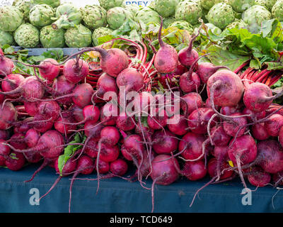 Rows of beets root vegetables sitting on table at farmers market Stock Photo