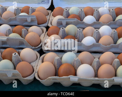 Brown and white eggs sitting in dozen count cartons sitting Stock Photo