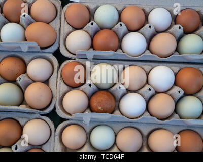 Overhead view of dozen of white and brown eggs sitting in carton Stock Photo