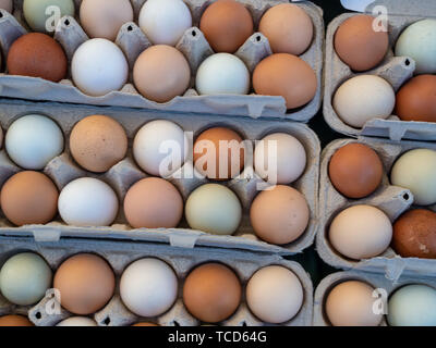 Overhead view of white and brown eggs sitting in a carton Stock Photo