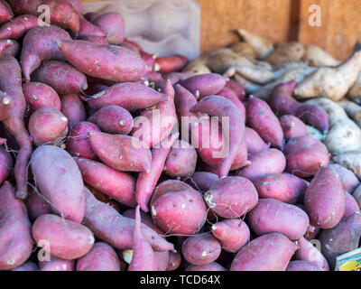 Pile of fresh yams at farmer market with sweet potatos Stock Photo