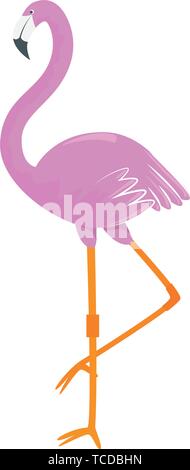 beautiful exotic flemish bird summer icon Stock Vector