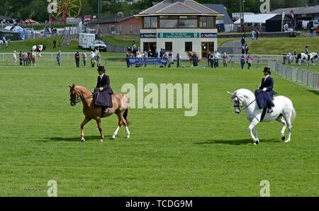 Women riding side saddle in a competition at the Royal Welsh spring festival Stock Photo