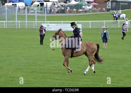 Women riding side saddle in a competition at the Royal Welsh spring festival Stock Photo