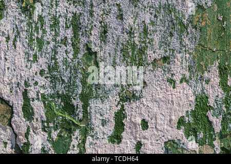 white-green old wall texture Stock Photo