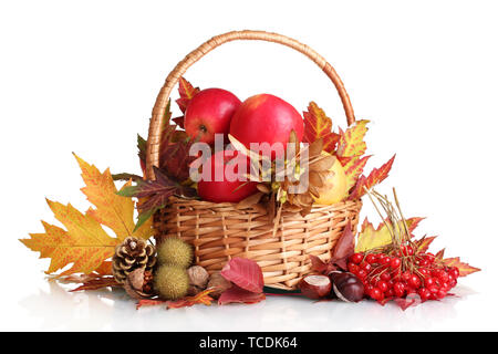 beautiful autumn harvest in basket and leaves isolated on white Stock Photo