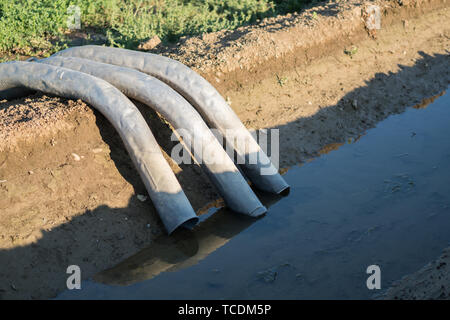 File:Tuyau d'irrigation par Urine - Irrigation pipe for Urine  (9947974506).jpg - Wikipedia