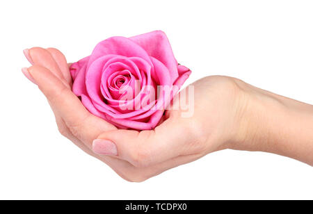 Bouquet of Mixed Flowers Wrapped in Paper