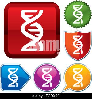 Vector illustration. Set shiny icon series on buttons. DNA. Stock Vector