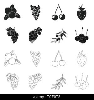 blackberry,strawberry,cranberry,food,honeysuckle,grape,cherry,red,branch,olive,bone,gooseberry,berry,fruit,forest,redberry,fresh,cocktail,medicine,autumn,sweet,health,set,vector,icon,illustration,isolated,collection,design,element,graphic,sign, Vector Vectors , Stock Vector