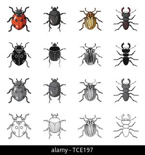 horn,ladybug,pest,cockroach,bug,insect,beetle,animal,halloween,drawn ...