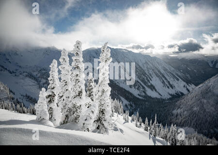 Snow covered landscape in the Kootenays near Kaslo, British Columbia, Canada Stock Photo