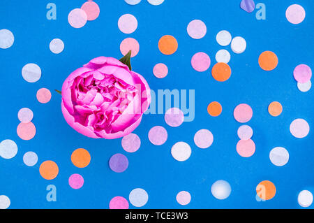 Flat lay of beautiful pink peony flower on blue background with colorful confetti and copyspace. Stock Photo