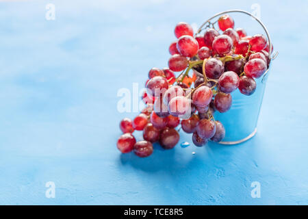 Red grape with water drops, closeup, isolated on bluebackground.Ripe grapes on a concrete surface. The harvest of grapes.wine,vineyard concept.Copy Stock Photo