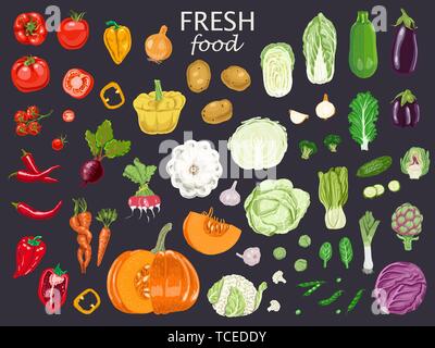 Big set of colored vegetables. Set of fresh vegetables for your design Stock Vector