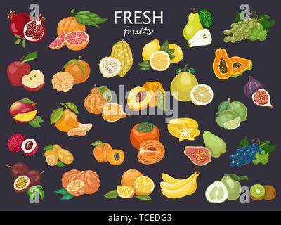 Big set of colored fruits. Set of fresh fruits for your design Stock Vector