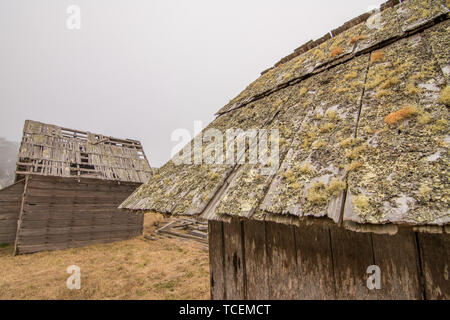 Roof of old wooden shed covered with moss on foggy day on abandoned farm Stock Photo