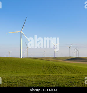 Large group of wind turbines generating clean renewable wind energy with open green pastures. Stock Photo