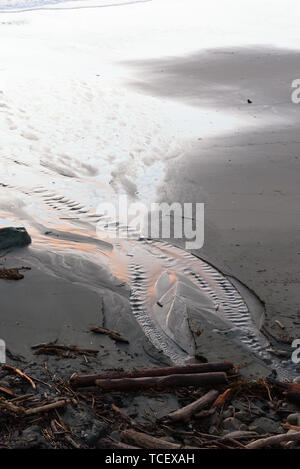 Small stream of clean water flowing on dirty sand of coast towards sea Stock Photo