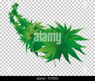 Twisted row of  maples leaves with transparency grid on back. Vector Illustration. Stock Vector
