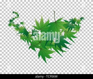 Twisted row of  maples leaves with transparency grid on back. Vector Illustration. Stock Vector
