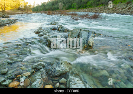 Forest landscape with rapid shallow stream with crystal clear
