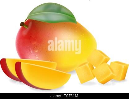 Mango fruit and slices isolated Vector realistic. Detailed elements design. 3d illustration Stock Vector