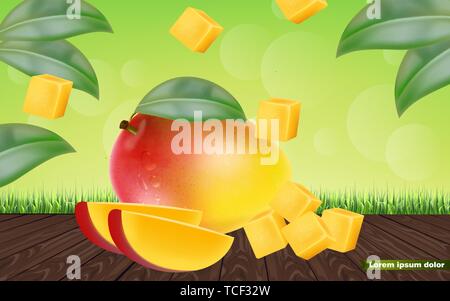 Mango fruit sliced Vector realistic. Detailed elements design. 3d illustration Stock Vector