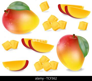 Mango fruit slices set Vector realistic. Detailed elements design. 3d illustration Stock Vector