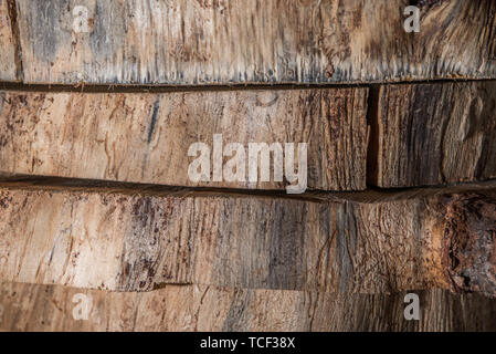 Background of textured rough surface of wood logs in saw cut Stock Photo