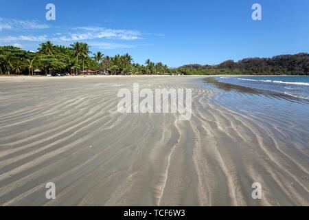 Palm trees and sandy beach at low tide in Samara, Playa Samara, Nicoya Peninsula, Guanacaste Province, Costa Rica, Central America Stock Photo