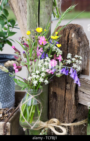Wild Flowers on Oversley Hill Farm garden at RHS Malvern Spring Show. Stock Photo