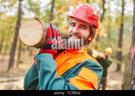 Two forest workers transport together a tree trunk while wood back ...