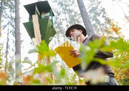 Forester with clipboard controls bark beetle trap as forest protection prevention Stock Photo