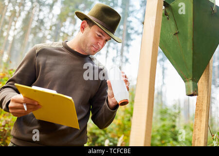 Förster controls measuring beakers of the bark beetle trap for pest control Stock Photo