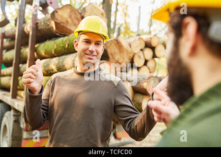 Two forest workers transport together a tree trunk while wood back ...