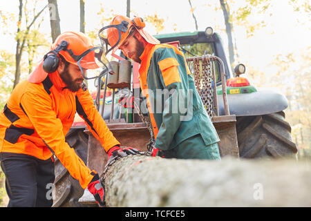 Two forest workers with forwarders at the Holzrücken after harvesting in the forest