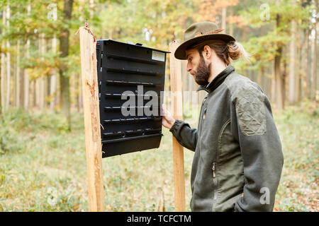 Förster controls a bark-beetle trap during forest maintenance Stock Photo