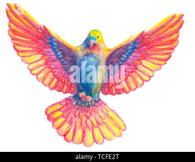 Watercolor and digital watercolor illustration of colorful, bird, pigeon in rainbow colors, symbol of the Holy Spirit, isolated on white background. Stock Photo