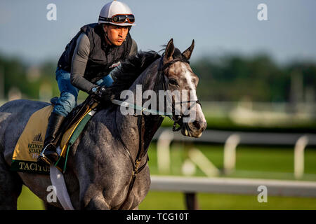 Elmont, New York, USA. 7th June, 2019. JUNE 06: Tacitus prepares for The Belmont Stakes at Belmont Park in Elmont, New York on June 06, 2019. Evers/Eclipse Sportswire/CSM/Alamy Live News Stock Photo