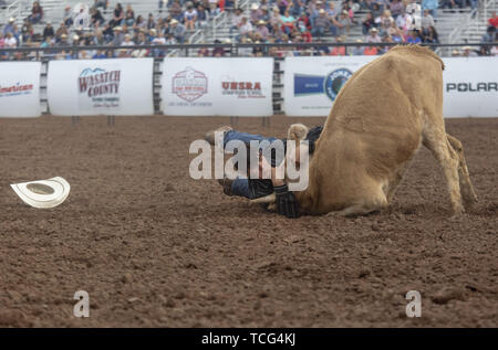 Heber City, Utah, USA. 7th June, 2019. A teenager wrestles a cow at the Utah High School Rodeo Association Finals in Heber City Utah, June 7, 2019. Students from across the state of Utah gathered to compete in Barrel Racing, Pole Bending, Goat Tying, Breakaway Roping, Cow Cutting, Bull Riding, Bareback Riding, Saddle Bronc Riding, Tie Down Roping, Steer Wrestling, and Team Roping. Credit: Natalie Behring/ZUMA Wire/Alamy Live News Stock Photo