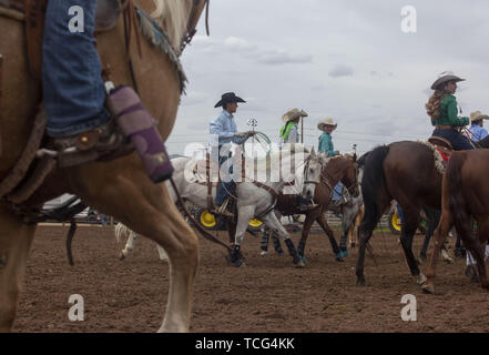 Heber City, Utah, USA. 7th June, 2019. Students on horseback warm up before competing at the Utah High School Rodeo Association Finals in Heber City Utah, June 7, 2019. Students from across the state of Utah gathered to compete in Barrel Racing, Pole Bending, Goat Tying, Breakaway Roping, Cow Cutting, Bull Riding, Bareback Riding, Saddle Bronc Riding, Tie Down Roping, Steer Wrestling, and Team Roping. Credit: Natalie Behring/ZUMA Wire/Alamy Live News Stock Photo