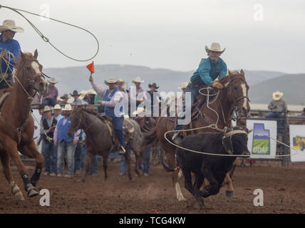 Heber City, Utah, USA. 7th June, 2019. Students lasso a calf in the team roping event at the Utah High School Rodeo Association Finals in Heber City Utah, June 7, 2019. Students from across the state of Utah gathered to compete in Barrel Racing, Pole Bending, Goat Tying, Breakaway Roping, Cow Cutting, Bull Riding, Bareback Riding, Saddle Bronc Riding, Tie Down Roping, Steer Wrestling, and Team Roping. Credit: Natalie Behring/ZUMA Wire/Alamy Live News Stock Photo