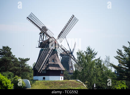 Gifhorn, Germany. 05th June, 2019. A Dutch windmill from Schleswig-Holstein (l) and a replica of the historic Dutch windmill from Sanssouci can be found in the Wind and Watermill Museum. It always revolves around mills on Whit Monday. In Lower Saxony and Bremen alone, more than 200 of the water- or wind-powered machines take part in Mühlentag. Credit: Christophe Gateau/dpa/Alamy Live News Stock Photo