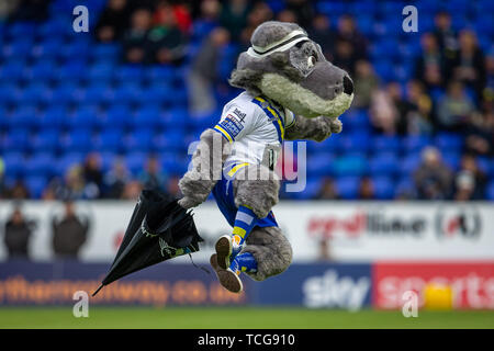 Halliwell Jones Stadium, Warrington, UK. 8th June, 2019. BetFred Super league Rugby, Warrington Wolves versus Catalans Dragons; The Warrington mascot singing in the rain Credit: Action Plus Sports/Alamy Live News Stock Photo