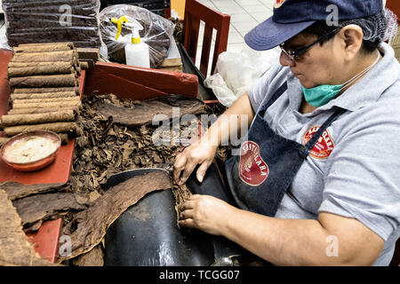 A cigarmaker called a torcedor finishes rolling the leaf wrapper of a fine cigar using a Temsco machine at the Santa Clara cigar factory in San Andres Tuxtlas, Veracruz, Mexico. The factory follows traditional hand rolling using the same process since 1967 and is considered by aficionados as some of the finest cigars in the world. Stock Photo