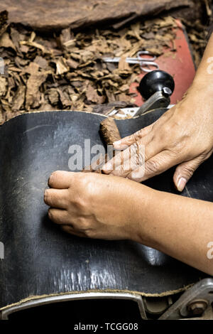 A cigarmaker called a torcedor finishes rolling the leaf wrapper of a fine cigar using a Temsco machine at the Santa Clara cigar factory in San Andres Tuxtlas, Veracruz, Mexico. The factory follows traditional hand rolling using the same process since 1967 and is considered by aficionados as some of the finest cigars in the world. Stock Photo