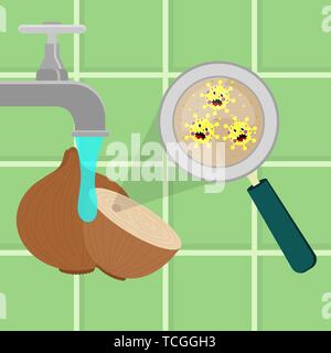 Onion contaminated with cartoon microbes being cleaned and washed in a kitchen. Microorganisms, virus and bacteria in the vegetable enlarged by a magn Stock Vector