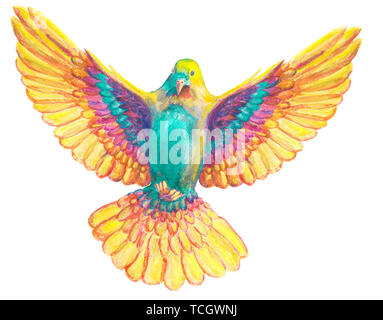 Watercolor and digital watercolor illustration of colorful, bird, pigeon in rainbow colors, symbol of the Holy Spirit, isolated on white background. Stock Photo