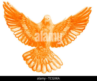 Watercolor and digital watercolor illustration of unicolor bird, pigeon in orange color, symbol of the Holy Spirit, isolated on white background. Stock Photo